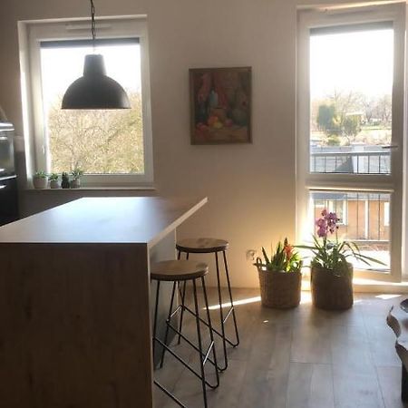 Apartament Goscinne Sady Malbork Exterior photo